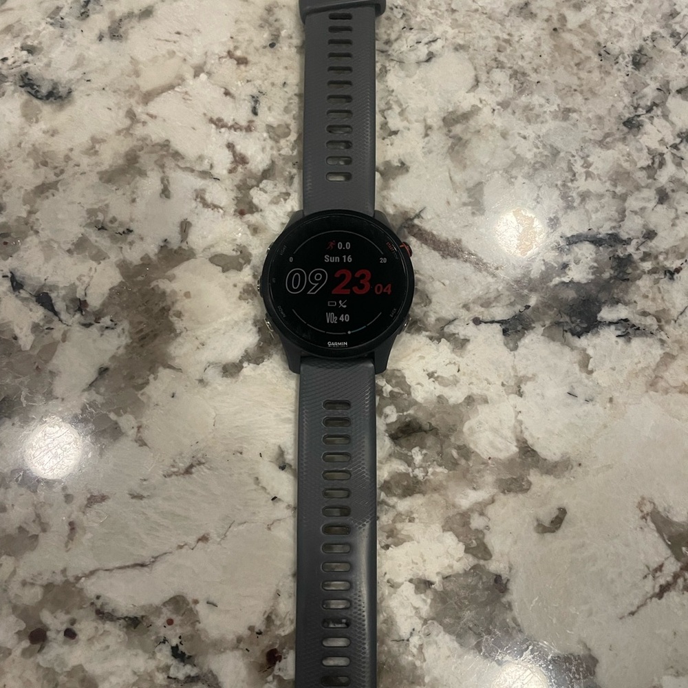Smartwatch with Gray Band